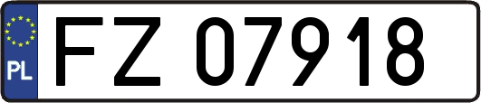FZ07918