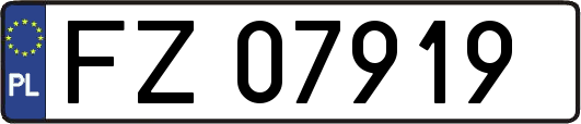 FZ07919