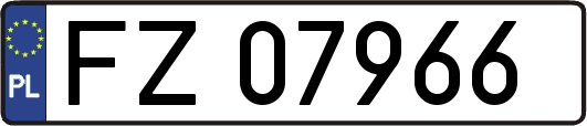 FZ07966