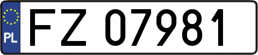 FZ07981