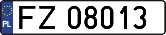FZ08013