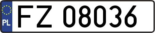 FZ08036