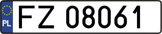 FZ08061
