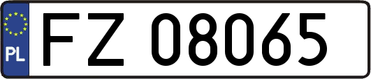 FZ08065