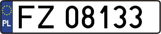 FZ08133