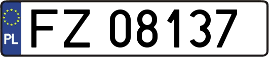 FZ08137