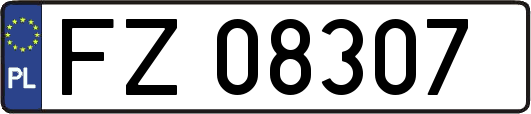 FZ08307