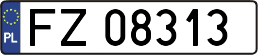 FZ08313