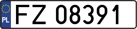 FZ08391