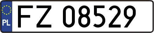 FZ08529
