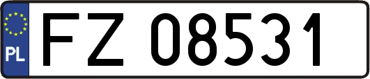 FZ08531