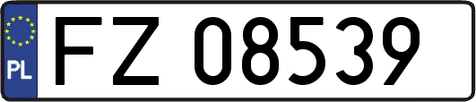 FZ08539