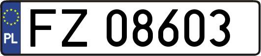 FZ08603