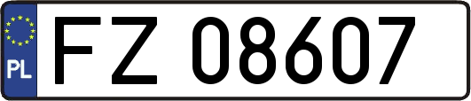 FZ08607