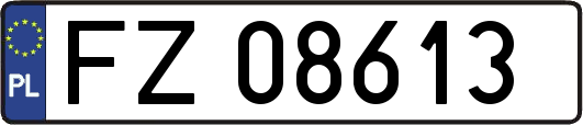 FZ08613