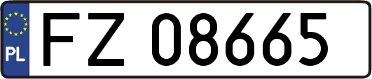 FZ08665