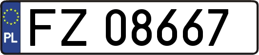 FZ08667