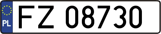 FZ08730