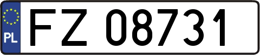 FZ08731