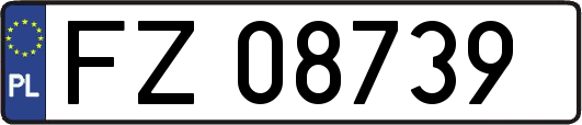 FZ08739