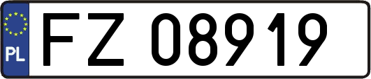 FZ08919