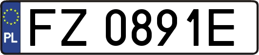 FZ0891E
