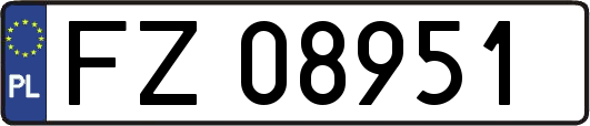 FZ08951