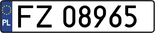 FZ08965