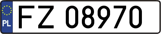 FZ08970