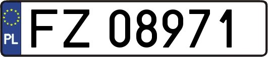 FZ08971
