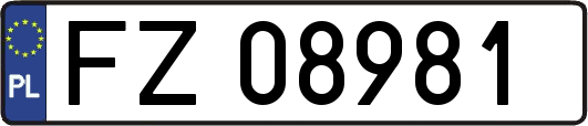 FZ08981