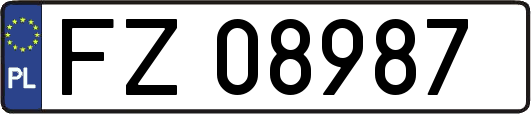 FZ08987