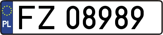FZ08989