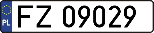FZ09029