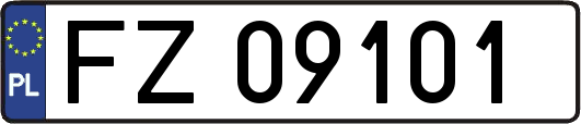 FZ09101