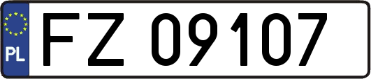FZ09107