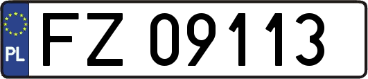FZ09113