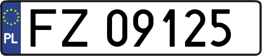 FZ09125