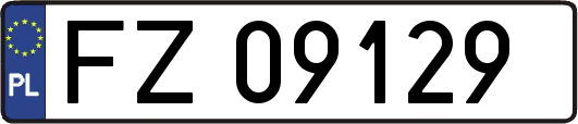 FZ09129