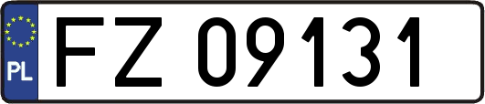 FZ09131