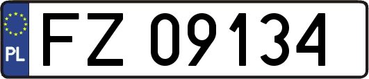 FZ09134