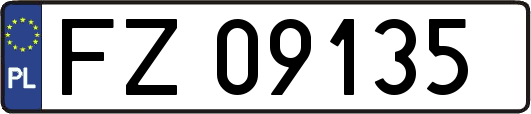 FZ09135