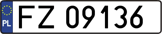 FZ09136