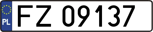 FZ09137