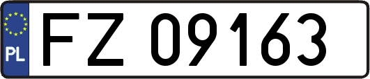FZ09163