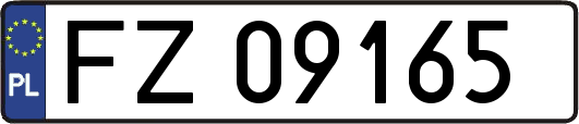 FZ09165