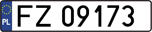 FZ09173