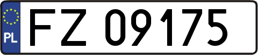 FZ09175