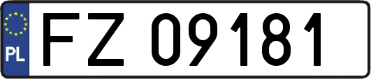 FZ09181