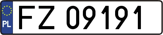 FZ09191